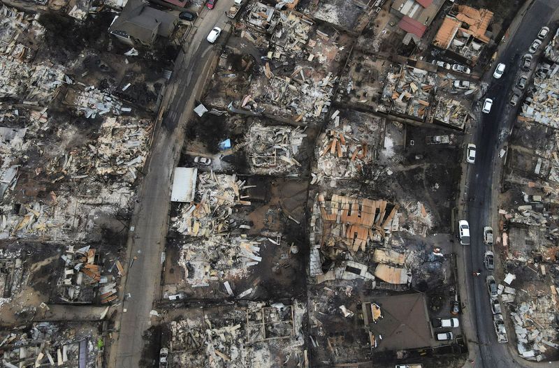 Chile wildfire 2024_3