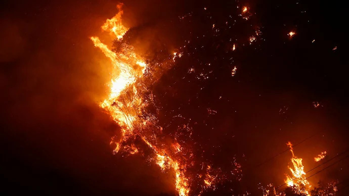 Chile wildfire 2024_4