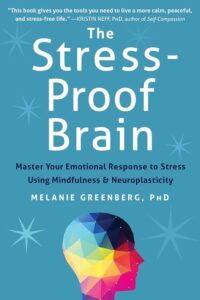 books about life The Stress-Proof Brain book