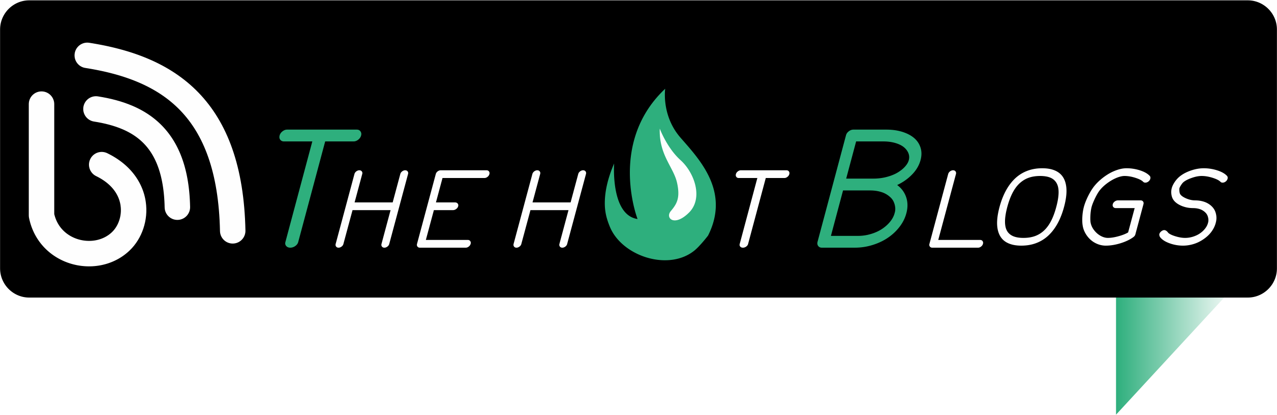 The Hot Blogs